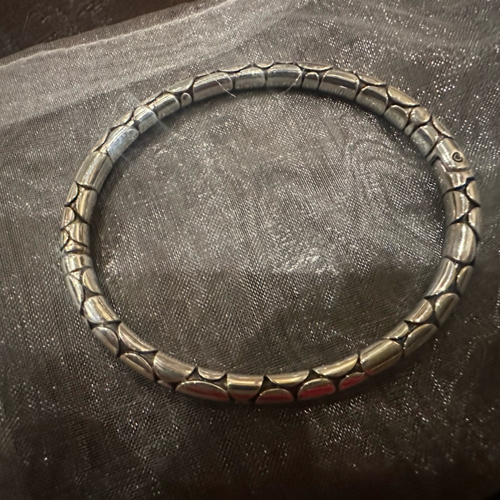 Reptile-Themed sterling Silver Bracelet, Brighton